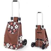 New Arrival Light Aluminium Folding Hand Carry Trolley Bag